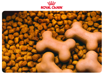 <h5>Royal Canin anuncia projeto para apoiar pequenas empresas do segmento pet</h5>
